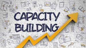 10 Innovative Approaches to Capacity Building: Lessons Learned from Datastat Research. Training and Workshops Available.