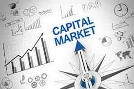 Capital Markets and Investment