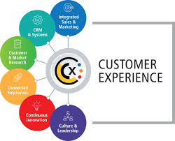 Customer Service and Customer Experience