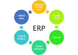 Enterprise Resource Planning (ERP)