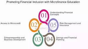 Microfinance & Financial Inclusion