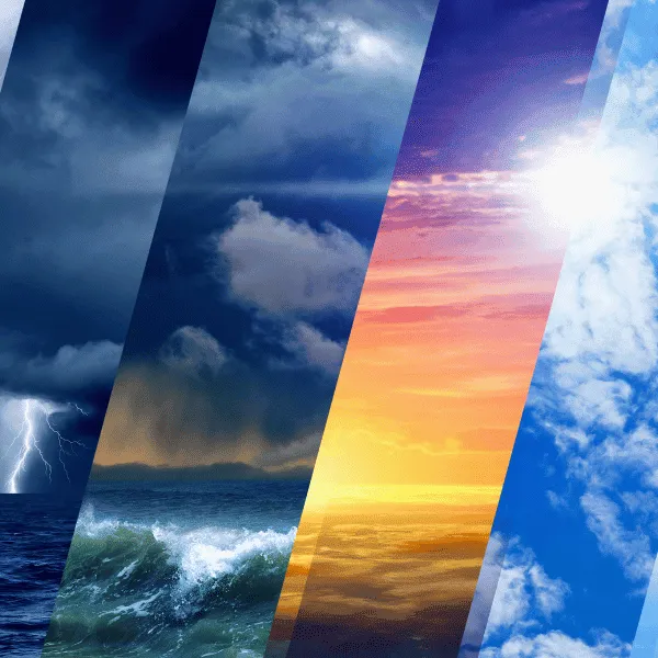 Migration and Refugee