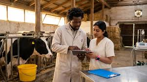 Veterinary and Animal Science